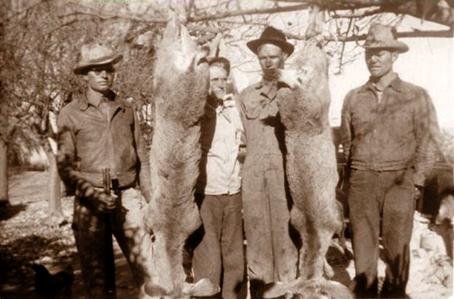 Hunters, 1942